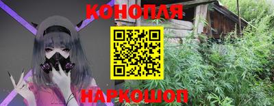 стаф Будённовск