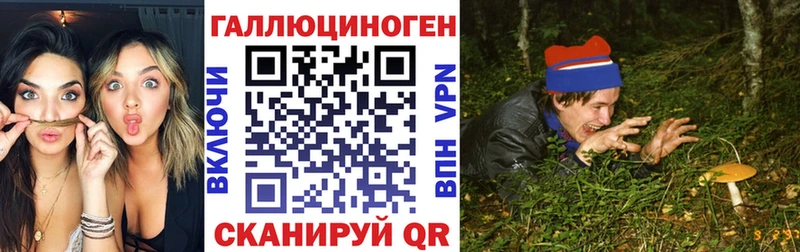 hydra ссылки  Люберцы  Псилоцибиновые грибы Magic Shrooms 