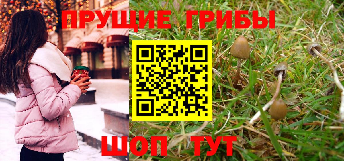 Галлюциногенные грибы ЛСД Люберцы