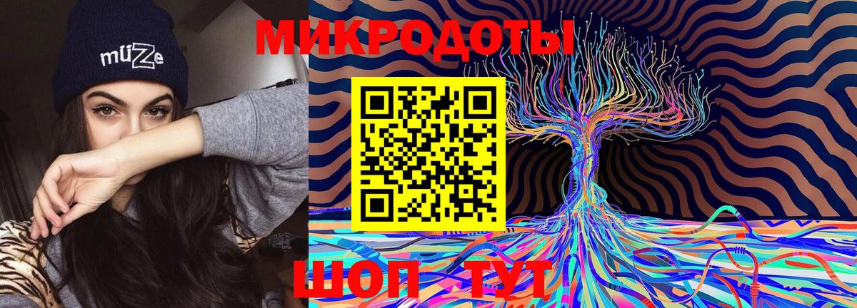 Псилоцибиновые грибы Psilocybine cubensis Люберцы