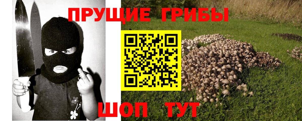 Люберцы  Галлюциногенные грибы Magic Shrooms  Вход с VPN 